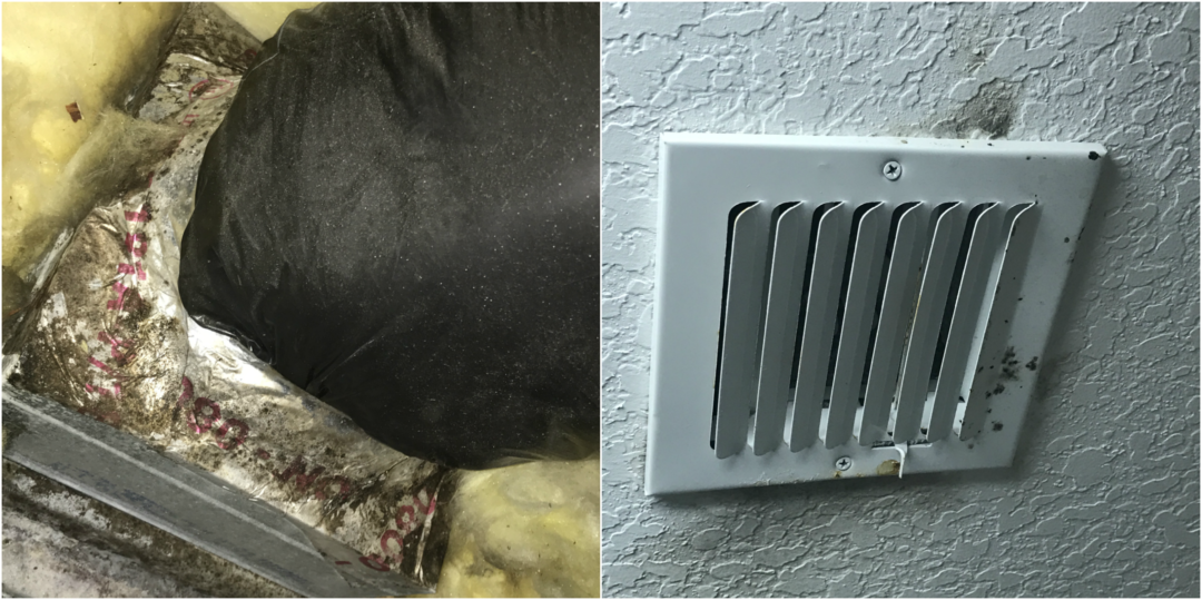 Black Growth On Ac Vents Makes House Sick Commander Cleaning And Restoration